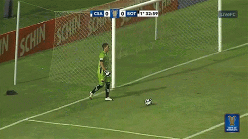 Chase Csa Vc Botafogo GIF - Chase Csa Vc Botafogo Get The Ball GIFs