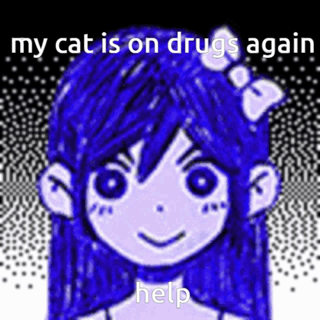 a picture of a girl with blue hair and the words my cat is on drugs again help