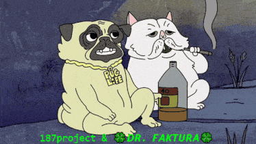 a pug dog wearing a pug life necklace sits next to a white cat