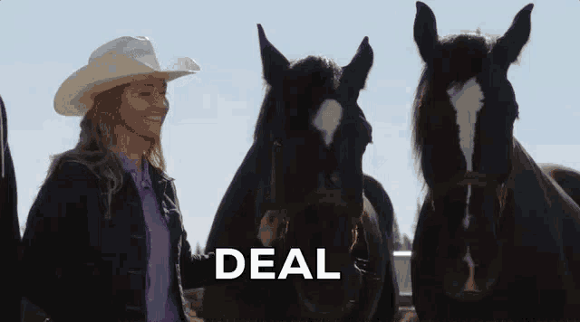 a woman in a cowboy hat is standing next to two horses and talking to them .