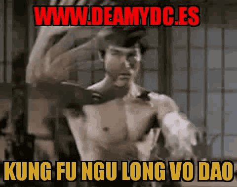 Deamydc Feamydc GIF - Deamydc Feamydc Kung Fu GIFs
