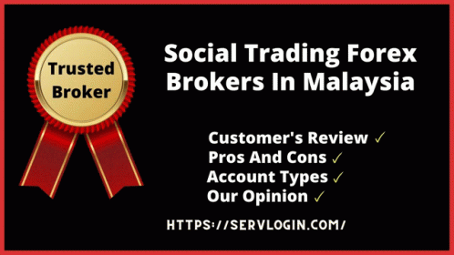 Social Trading Forex Brokers In Malaysia Best Social Trading Forex Brokers GIF - Social Trading Forex Brokers In Malaysia Forex Brokers In Malaysia Best Social Trading Forex Brokers GIFs