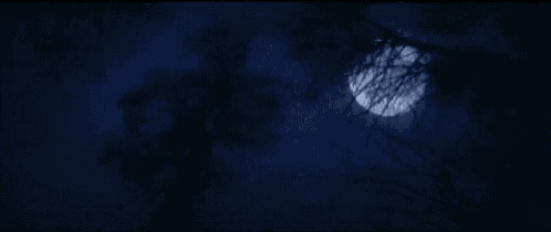 a full moon is shining through the trees at night