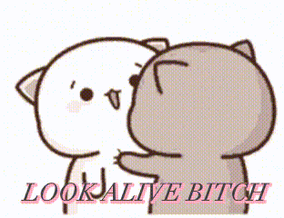 Look Alive Funny GIF - Look Alive Funny Cat GIFs
