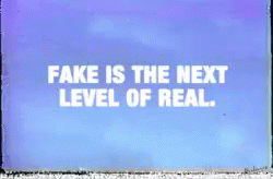 Fake Is The Next Level Of Real Woke GIF - Fake Is The Next Level Of Real Woke Fakes GIFs