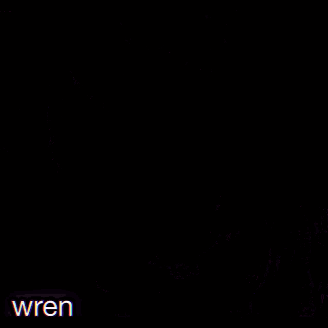 a drawing of a person with the word wren in the bottom right corner