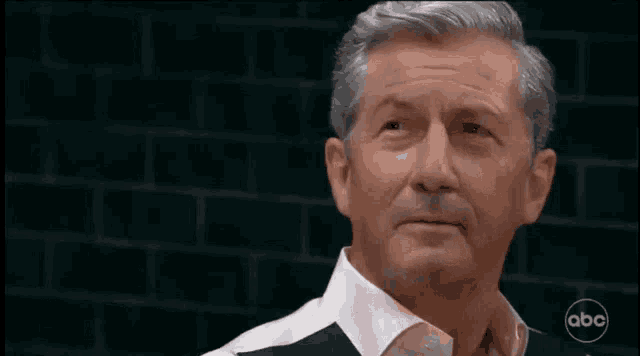 a man in a suit is standing in front of a brick wall and looking at the camera .