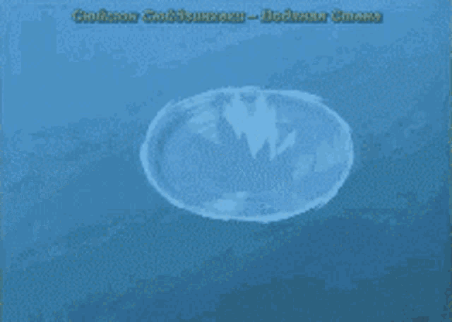 a man in a green vest is jumping over a blue object .