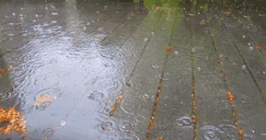 a puddle of water on a wooden deck