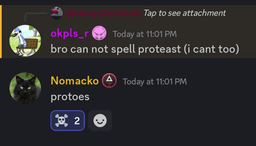 a screenshot of a chat with okpls_r and nomacco