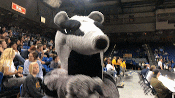 a badger mascot stands in front of a crowd