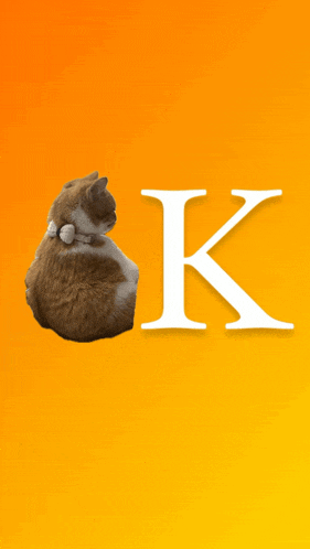 a brown and white cat is hugging a white letter k