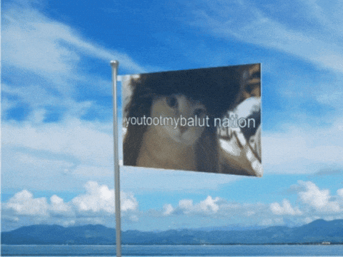a flag with a picture of a cat on it that says youtoolmybalot nation