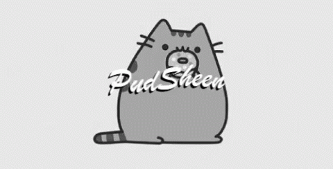 What In The Hell Pud Sheen GIF - What In The Hell Pud Sheen Cat GIFs