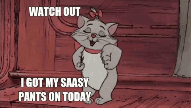 a cartoon cat is standing in front of a door and says `` watch out i got my sassy pants on today ''