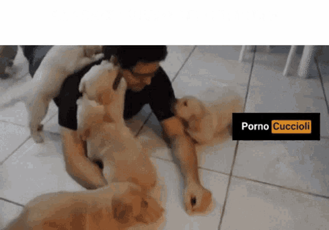 a man is playing with a bunch of puppies with a porno cuccioli logo in the background
