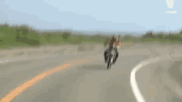 a man is riding a motorcycle on a road .
