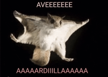 a picture of a flying squirrel with the caption aveeeee aaaardiiillaaaa
