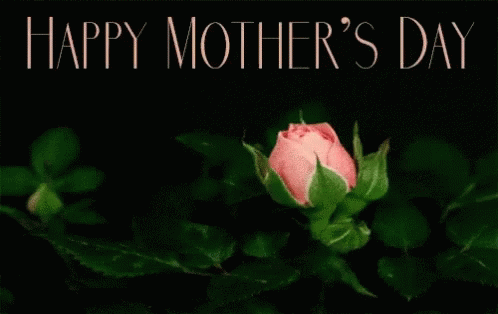 Happy Mothers Day Mom Day GIF - Happy Mothers Day Mom Day Rose GIFs
