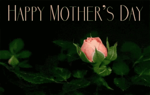 a happy mother 's day greeting card with a pink rose in the foreground