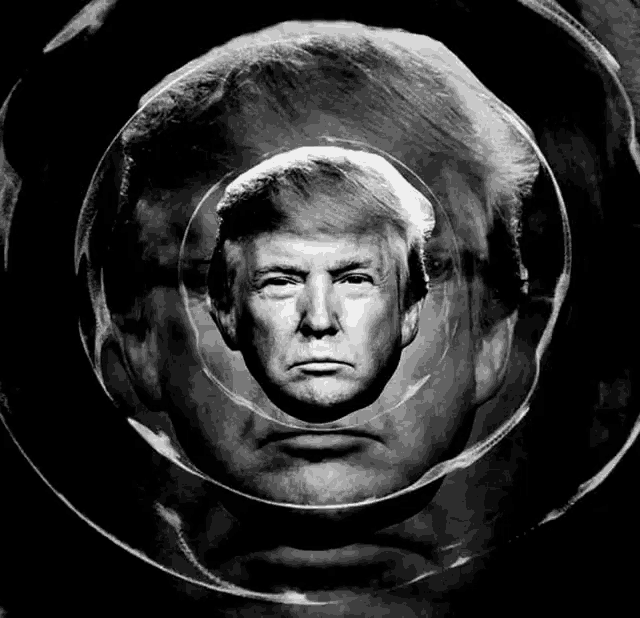 donald trump 's face is surrounded by circles in a black and white photo