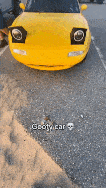 Cat Goofy Car GIF - Cat Goofy Car Silly Car GIFs