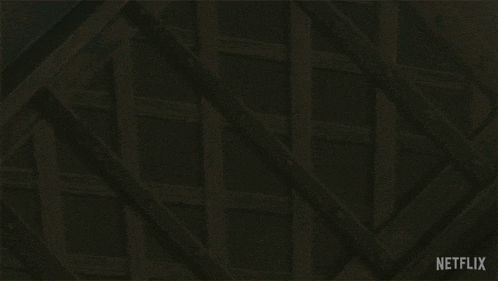 a netflix logo is visible in the dark