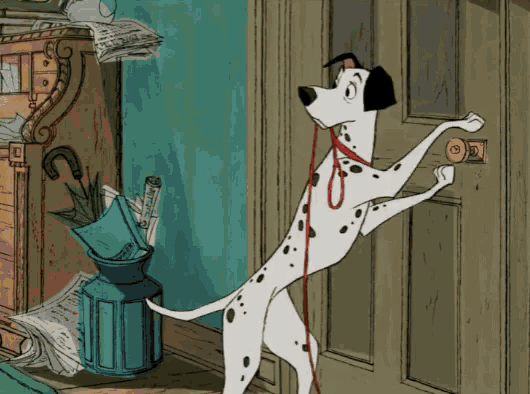 a dalmatian dog is standing on its hind legs looking at a door