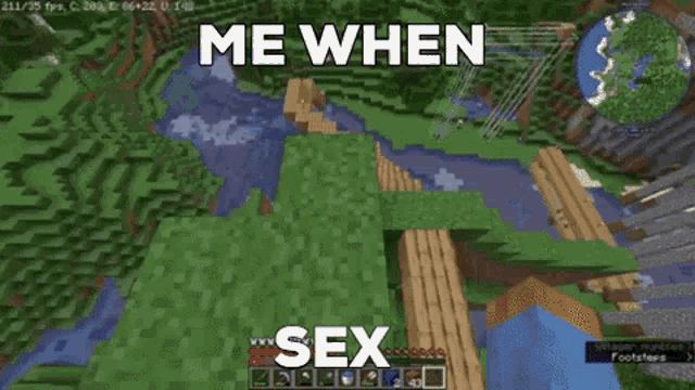 a screenshot of a video game with the words `` me when sex '' .