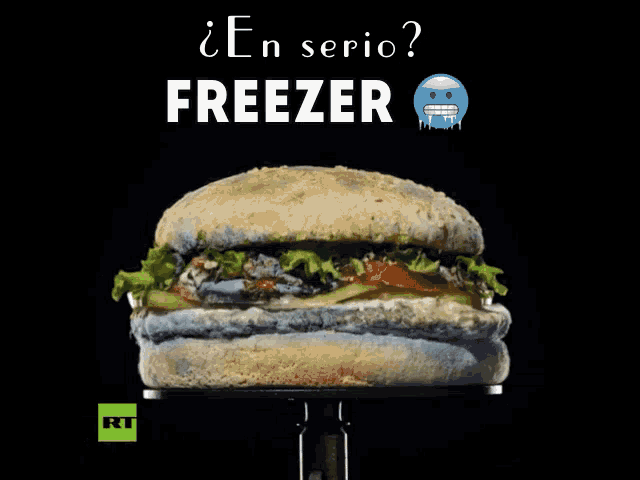 Freezer Bk Wendys Pr GIF - Freezer Bk Wendys Pr Burger GIFs