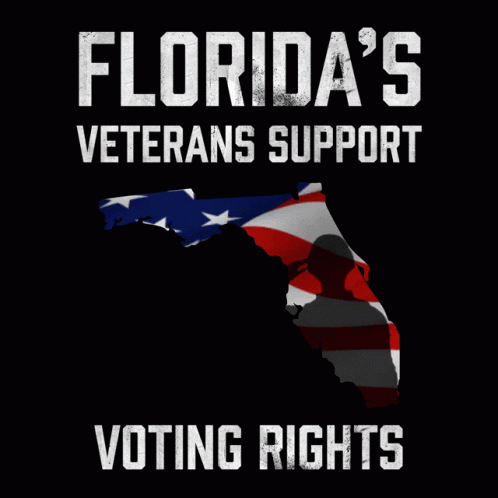 Vote Florida GIF - Vote Florida Voting GIFs
