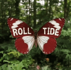 a red and white butterfly that says roll tide on its wings