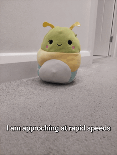 Bug Bugs GIF - Bug Bugs I Am Approaching At Rapid Speeds GIFs