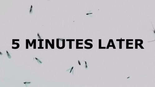 Five Minutes Later Time GIF - Five Minutes Later Time Card GIFs