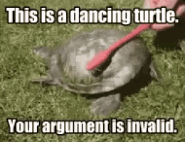 Funny Animals This Is A Dancing Turtle Your Agrument Is Invalid GIF - Funny Animals This Is A Dancing Turtle Your Agrument Is Invalid Back Stratch GIFs