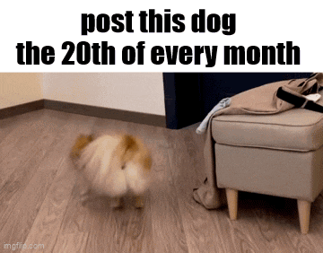 a picture of a dog with the words post this dog the 20th of every month on it