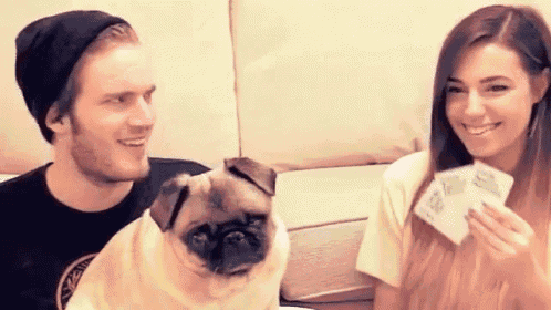 Felix And Marzia GIF - Pewdiepie Cards Against Humanity Marzia GIFs