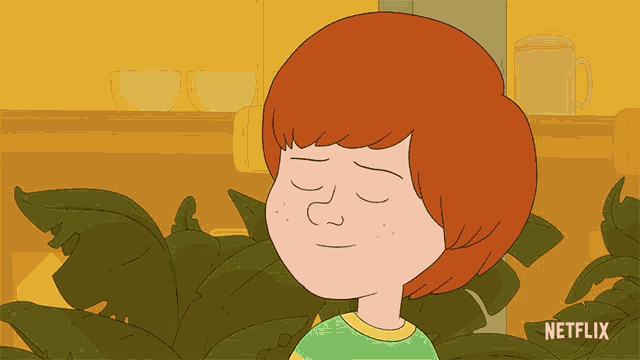a cartoon of a boy with red hair and a netflix logo on the bottom