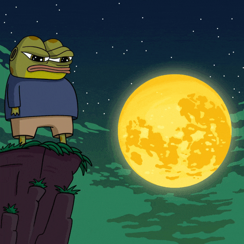 a cartoon of a frog standing on a cliff looking at a full moon