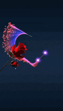 a heart with glasses inside of it and a red rose