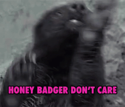 Honey Badger GIF - Honey Badger Honey Badger Dont Care GIFs
