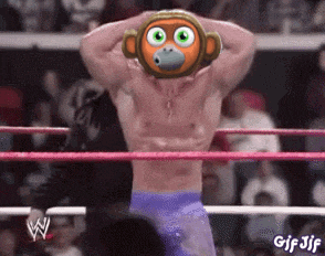 a man in a wrestling ring with a monkey mask on his head