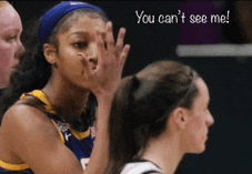 a female basketball player covering her face with her hand and the words " you can 't see me " on the bottom