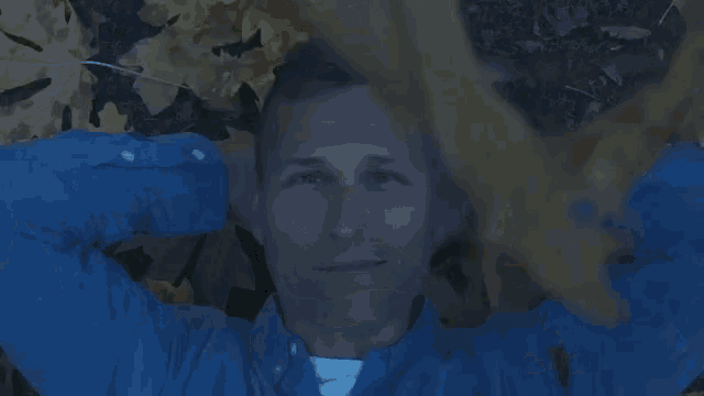 a man in a blue shirt is laying on the ground with his arms behind his head surrounded by leaves .