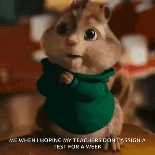 a chipmunk wearing a green sweater is sitting on a wooden table and making a face .