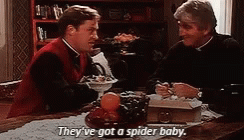 Father Ted Spider Baby GIF - Father Ted Spider Baby Conversation GIFs