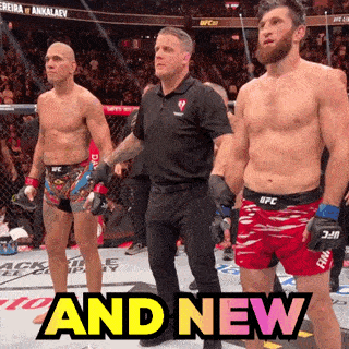 a referee stands between two fighters in a boxing ring and says " and new "