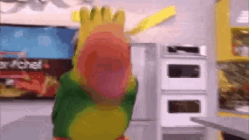 a colorful parrot is standing in a kitchen in front of a sign that says " master chef "