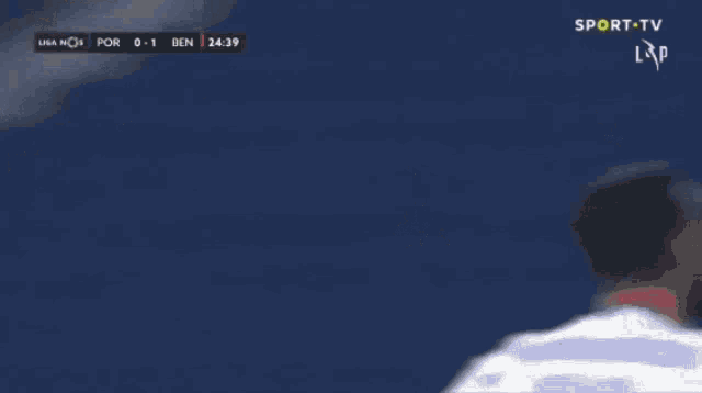a soccer player is kneeling on the field in front of hyundai advertisements