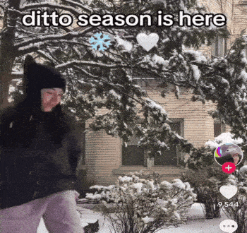 a picture of a person in the snow with the words ditto season is here